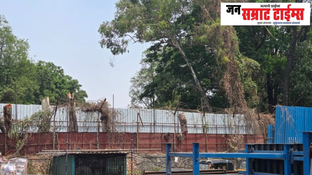 Nigdi, Pimpri, Metro, Work, Trees, Felling, Action, Demand