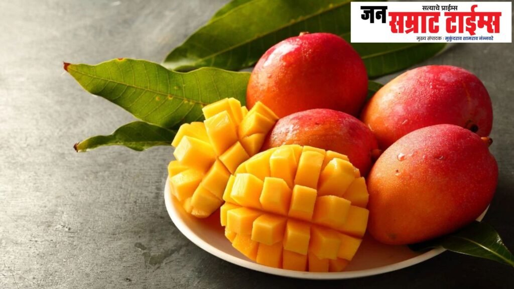जगातील सर्वात महागडा आंबा Expensive, mango, sugar, sweet, price, in lakhs,