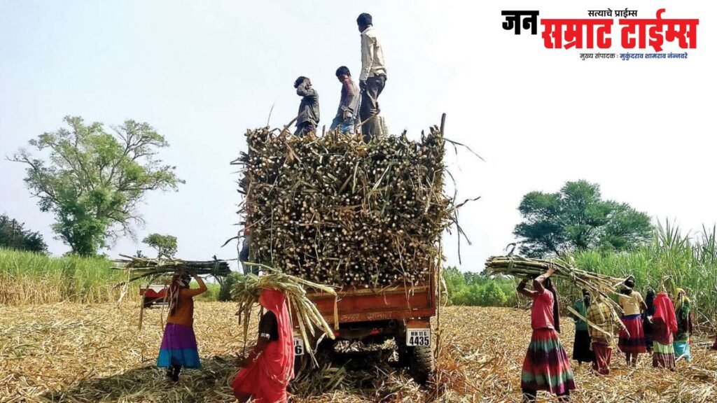 Centre Takes Major Decision: FRP Hike for Sugarcane — Farmers Set to Reap Rich Rewards