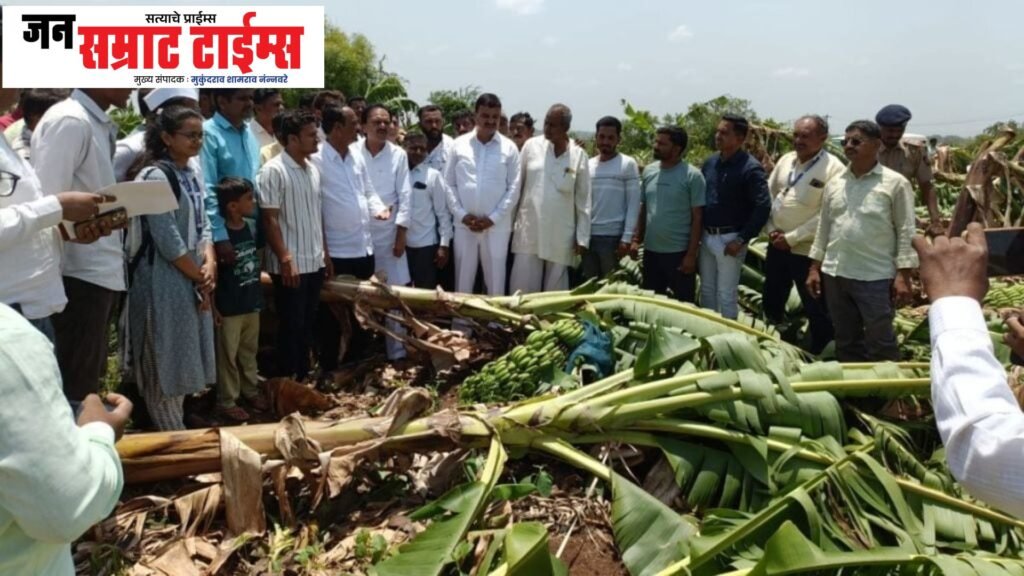 केळी उत्पादक शेतकऱ्यांना मोठा दिलासा Major relief for banana growers and farmers.