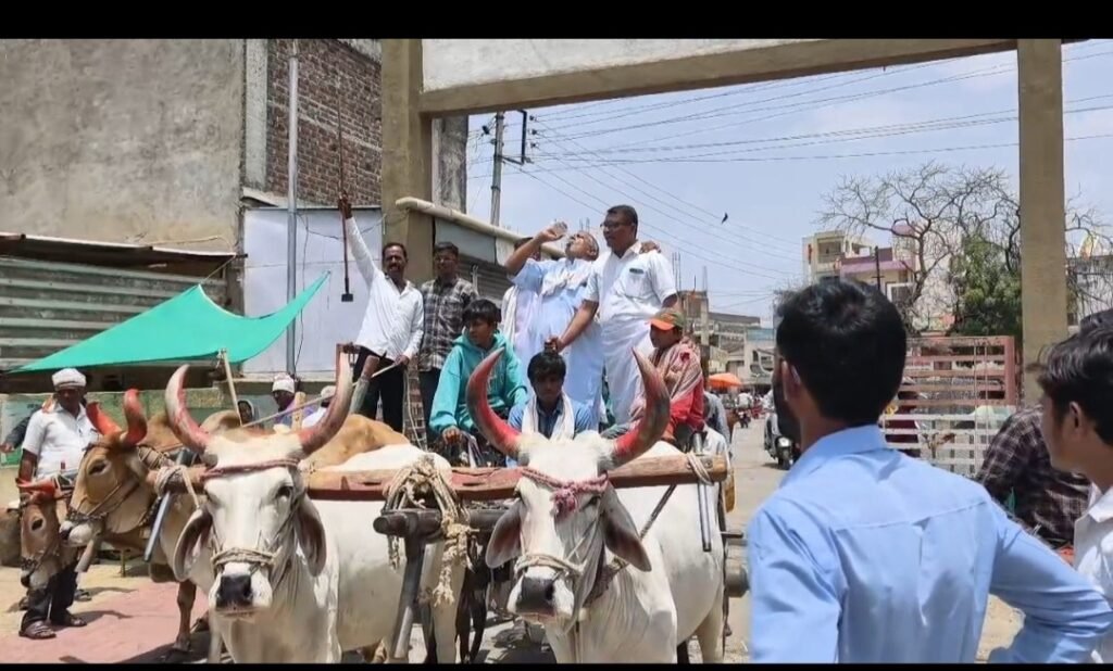शेतकऱ्यांच्या विविध मागण्यांसाठी शिंदखेडा तहसील कार्यालयावर बैलगाडी मोर्चा Shindkheda, Tehsil, Office, Bullock Cart, Morcha,