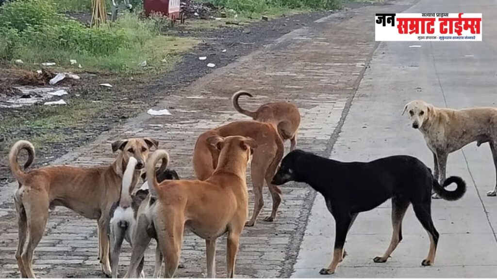 एरंडोल नगरपरिषदेची भटक्या कुत्र्यांवर नियंत्रणासाठी प्रभावी मोहीम