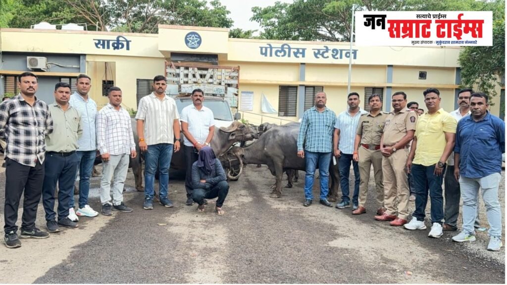 एलसीबीची मोठी कारवाई; पशुधन चोरी करणाऱ्या आंतरजिल्हा टोळीचा पर्दाफाश ९ म्हशी,