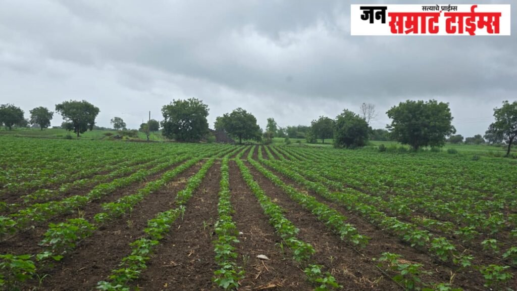 खरीप पिकांना मिळाले जीवदान