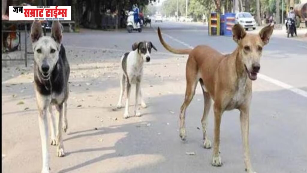 निंभोरा बुद्रुकमध्ये कचरा व भटक्या कुत्र्यांचा वाढता उपद्रव; प्रशासनाला १५ दिवसांचा अल्टिमेटम निंभोरा बुद्रुकमध्ये कचरा व भटक्या कुत्र्यांचा हैदोस