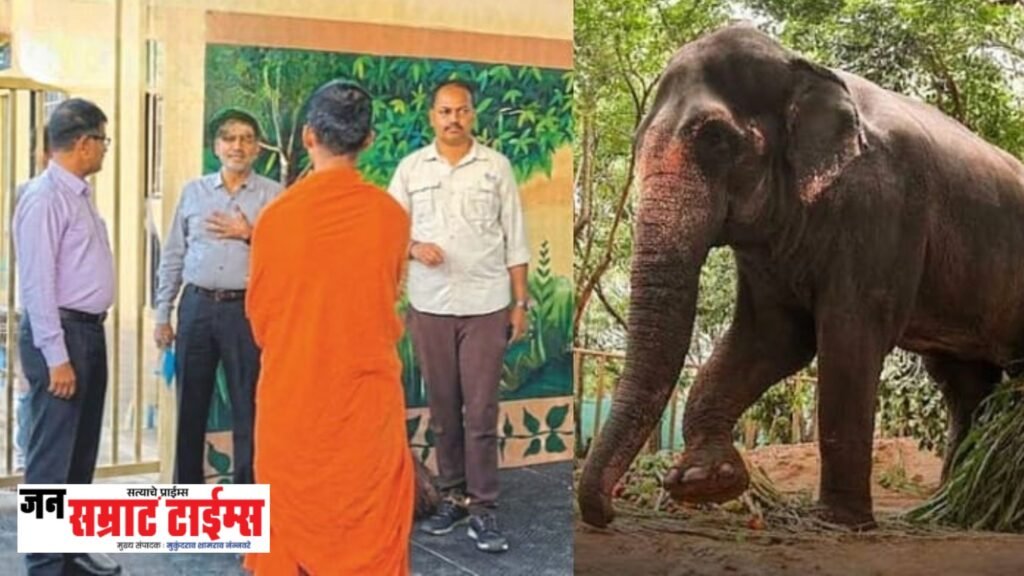 माधुरी हत्तीणीच्या ‘घरवापसी’च्या आशा पल्लवित; नांदणी मठात संयुक्त पथकाची पाहणी पूर्ण
