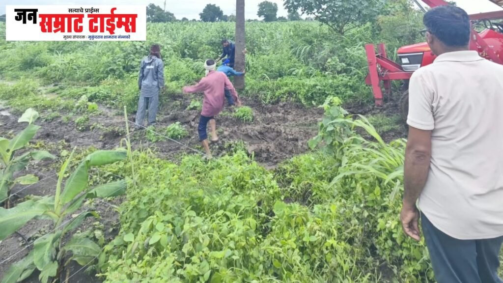 महावितरण