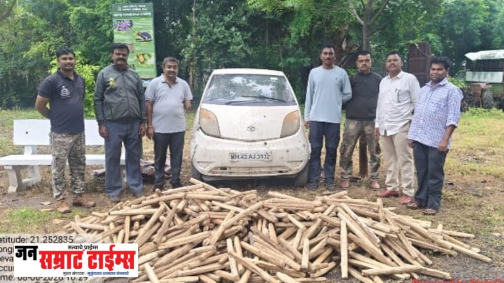 वन विभागाची धडक कारवाई; बेकायदेशीर साग वाहतूक करणारी नॅनो कारसह १,००८ साग अनघड बेलन जप्त