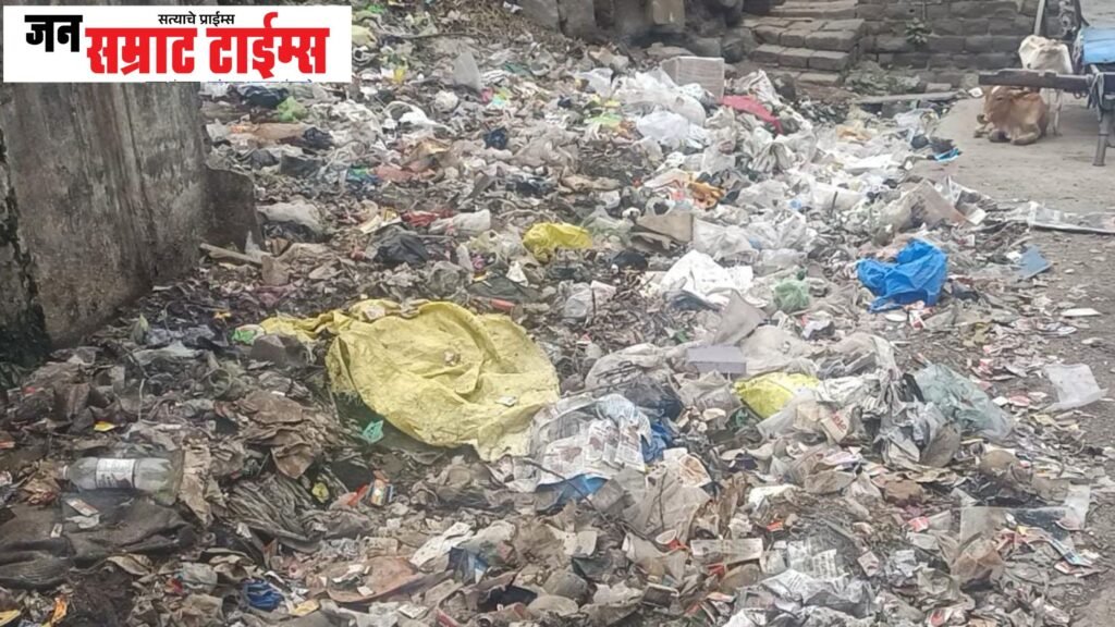 स्वच्छता यंत्रणेचा बोजवारा!