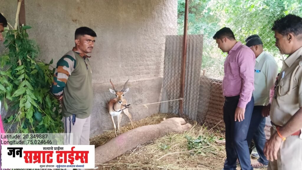 वनमजुराच्या शेतातील घरात जिवंत काळवीट जप्त! काळवीट जप्त!