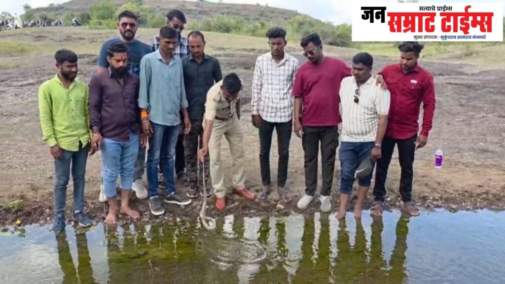 धुळ्यात आढळला दुर्मिळ पांढरा नाग; सर्पमित्रांनी केले सुरक्षित रेस्क्यू पांढरा नाग