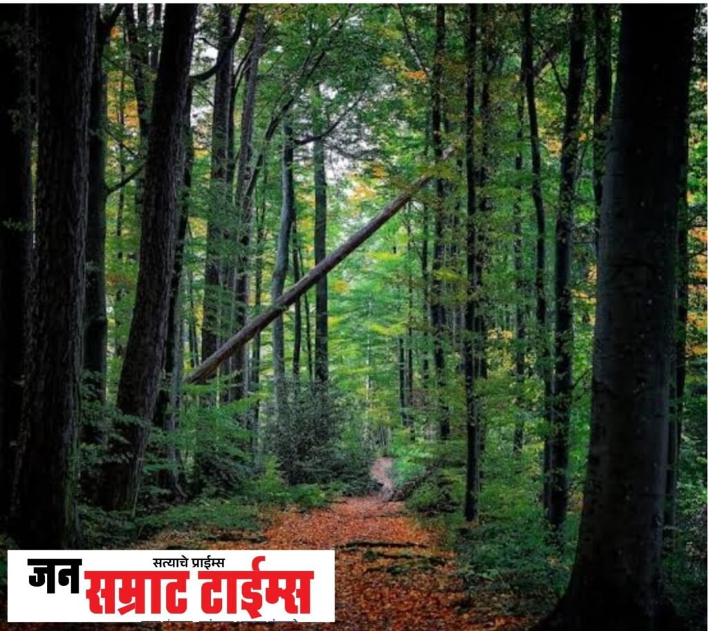 बिबट्याच्या हल्ल्याबाबत