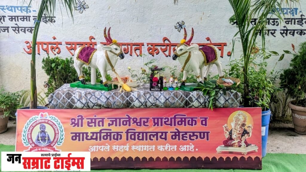 बैलापासून ट्रॅक्टरपर्यंत