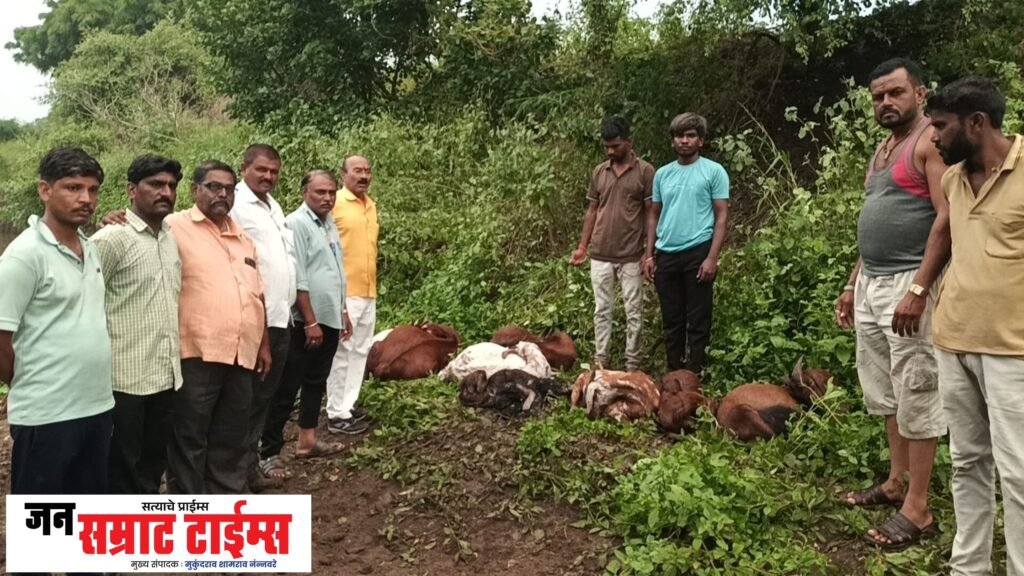 वीज कोसळून १६ बकऱ्या ठार